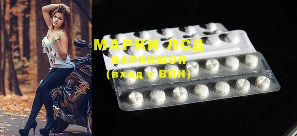 прущие грибы Баксан