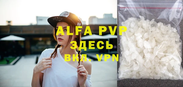 прущие грибы Баксан
