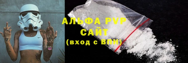 прущие грибы Баксан