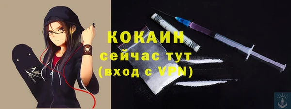 прущие грибы Баксан
