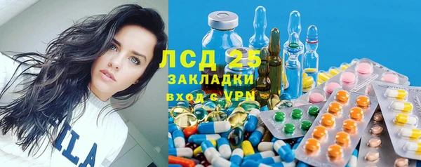 прущие грибы Баксан