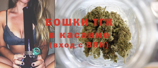 прущие грибы Баксан