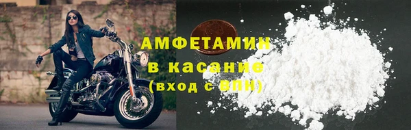 прущие грибы Баксан